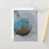 Snowy Blue Bird Postcard