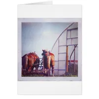 Draft Horses Ready For Work Cards