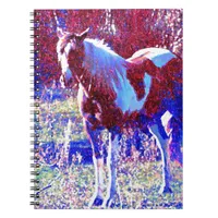 Pinto Horse Notebook
