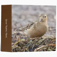 Beautiful Buff-Breasted Sandpiper at the Beach 3 Ring Binder