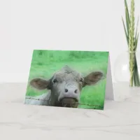 Cow Looks Over Fence All Occasions  Card