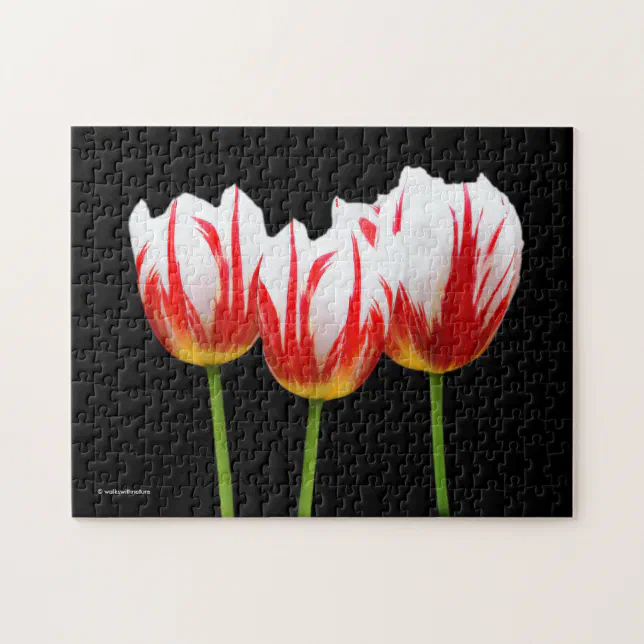 Elegant Maple Leaf Tulips Jigsaw Puzzle