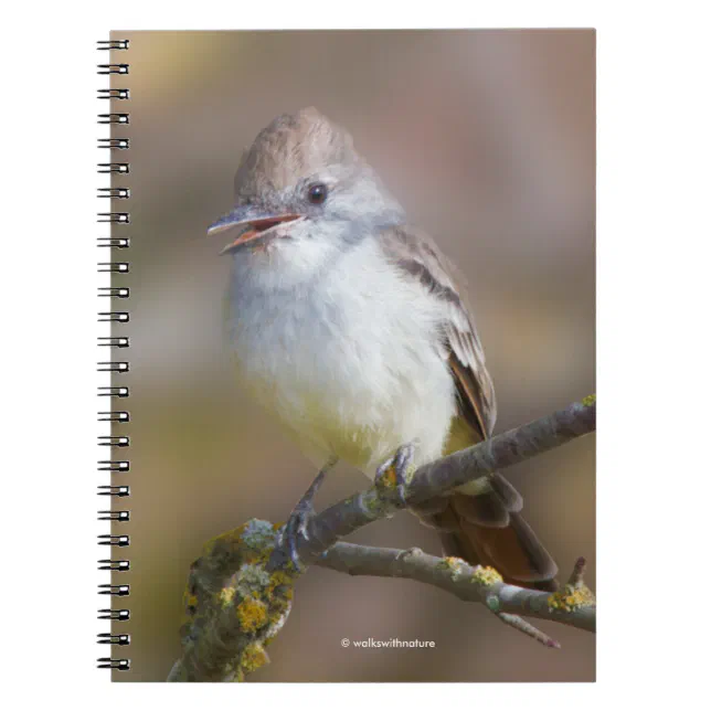 Cute Ash-Throated Flycatcher Songbird on Branch Notebook