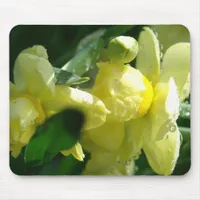 Daffodils With Water Droplets Mouse Pad