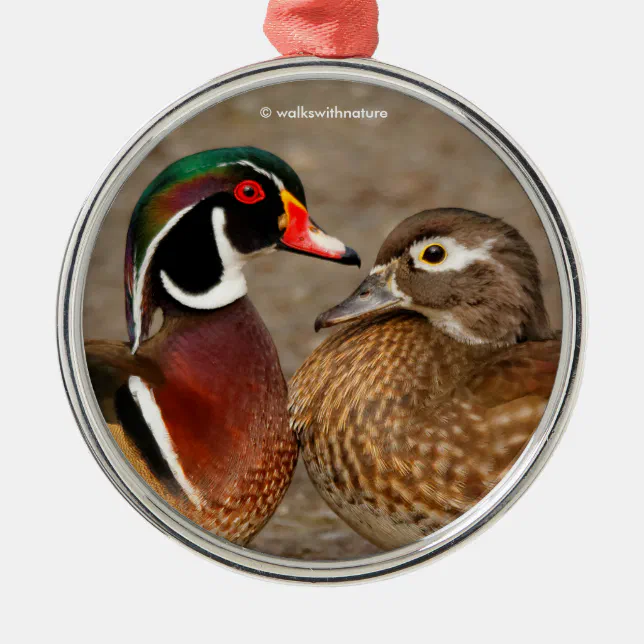 Beautiful Touching Moment Between Wood Ducks Metal Ornament