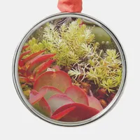 Colorful Succulents Metal Ornament