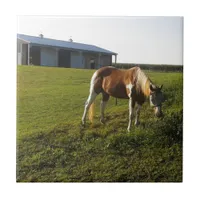 Morning Graze Ceramic Tile