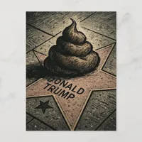 Poo on a Star Postcard