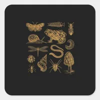 Frog Mushroom Moth Vintage Lover Goblincore Square Sticker