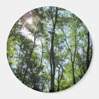 Sunset Peeking through the Trees Photo Magnet