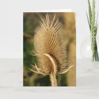 Teasel Card
