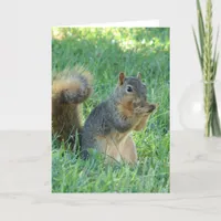 Squirrel Eating Acorns Card