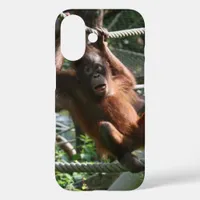 Baby Orangutan - Hang in there iPhone 16 Case