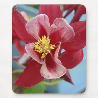 Columbine Flower Mouse Pad