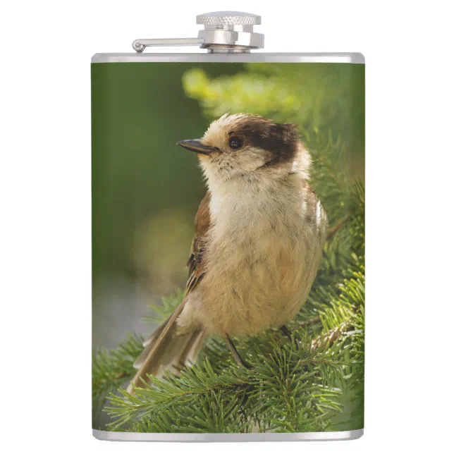 Profile of a Cute Grey Jay / Whiskeyjack Hip Flask