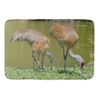 Sandhill Crane Parents and Chick Bath Mat