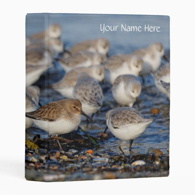 Cute Dunlins Sanderlings Sandpipers at the Beach Mini Binder