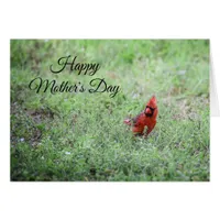 Happy Mother's Day Cardinal Card