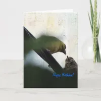 Goldfinch Feeding Chick Happy Birthday Card