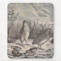 Just Quail Mouse Pad