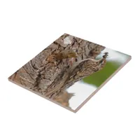 American Treecreeper with Bug Ceramic Tile