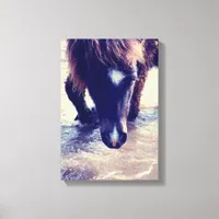 Swimming Horse Canvas Print