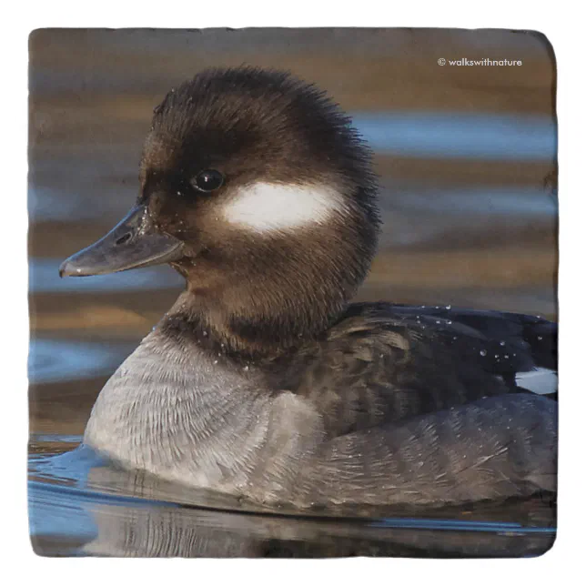 Cute Bufflehead Duck on Sunlit Waters Trivet