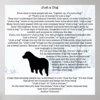 Dog Lover Quote - Best Friend - Dog Quote Poster