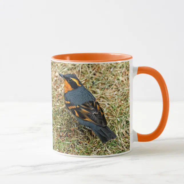 Stunning Varied Thrush on the Lawn Mug