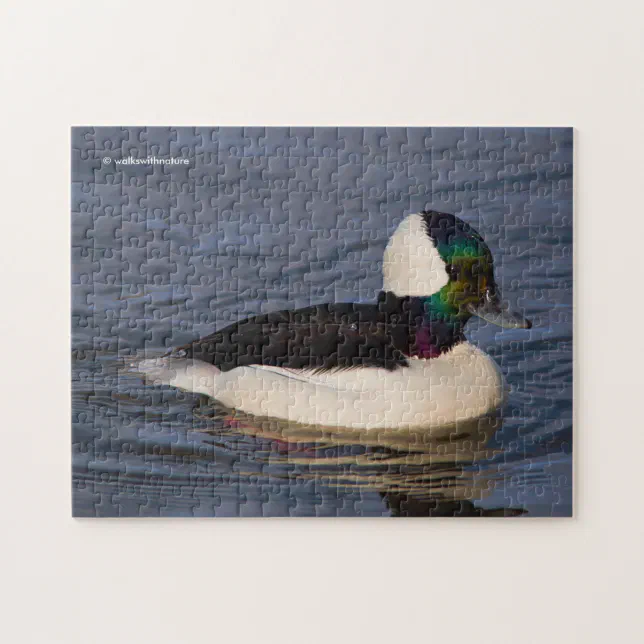 Male Bufflehead Duck in the Afternoon Sun Jigsaw Puzzle