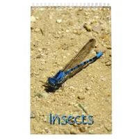 Calendar - Insects vol.2