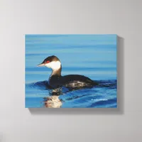 Profile of a Horned Grebe Canvas Print