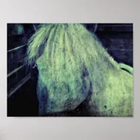 The Pony Poster