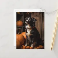 Autumn Border Collie and Pumpkins Postcard