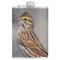 An Inquisitive Savannah Sparrow Hip Flask