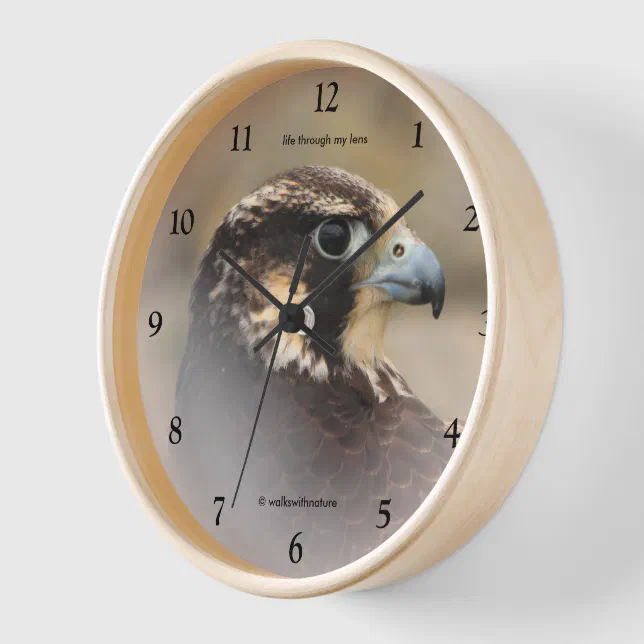 Vignetted Profile of a Peregrine Falcon Wall Clock