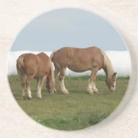 Belgians Drink Coaster