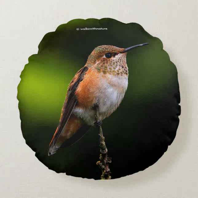 Rufous Hummingbird on the Hybrid Fruit Tree Round Pillow