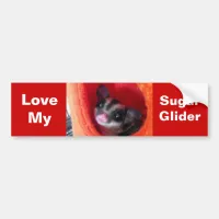 Sugar Glider in Orange Hanging Bed Bumper Sticker