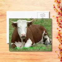 Don't Have a Cow Have the Bird Thanksgiving, ZSSG Holiday Postcard