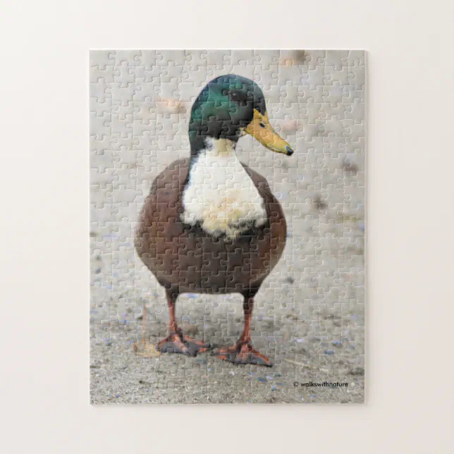 Domestic Mallard Duclair Bibbed Odd Duck Jigsaw Puzzle