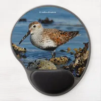 Beautiful Dunlin Sandpiper Goes Solo on the Beach Gel Mouse Pad