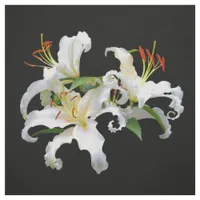 Elegant Casablanca White Oriental Lilies Fabric