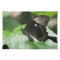 Paris Peacock Swallowtail Butterfly on Leaf Cloth Placemat