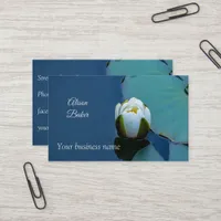 White water lily in the pond  business card