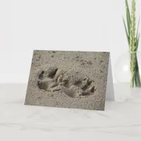 Hope's Pawprints in the Sand Card