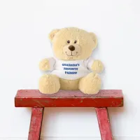 Playful Blue Text 'Grandma's Favorite' Teddy Bear