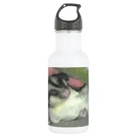 Sugar Glider Sleeping in Blanket Water Bottle