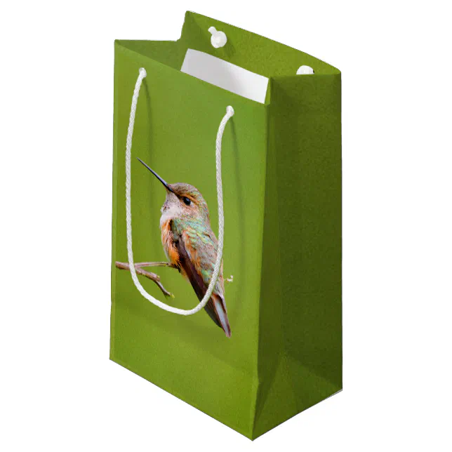 Rufous Hummingbird on California Lilac Branch Small Gift Bag