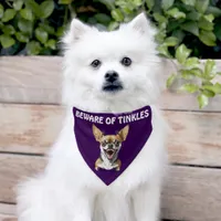 Beware of (Add Dog Name) Personalized Pet Bandana Collar